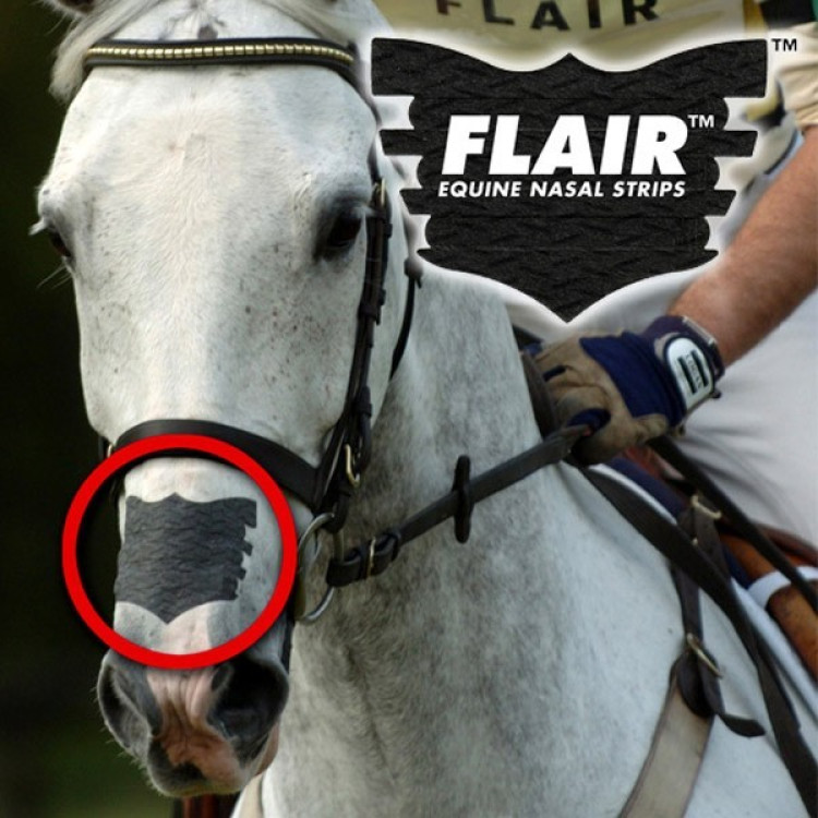 Flair Neusstrip Flair Neusstrip