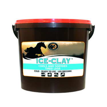 Ice Clay Foran Ice Clay Foran