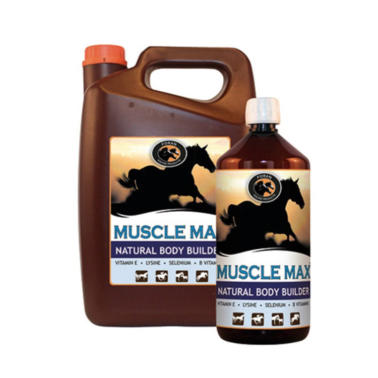 Muscle Max Foran Muscle Max Foran
