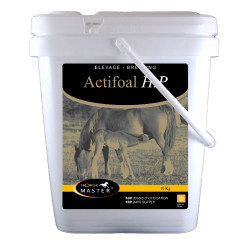Actifoal HP Horse Master