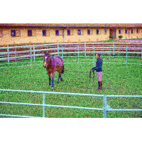 Pakket verzinkte panelen 3...