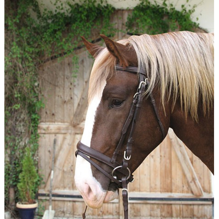 Leren Trekpaard Hoofdstel