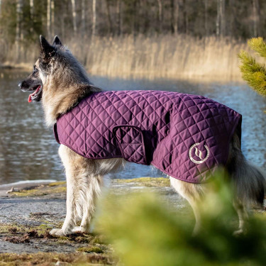 Hondenjas Back on Track® Night Collection Bordeaux Hondenjas Back on Track® Night Collection Bordeaux