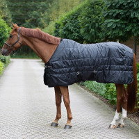 Staldeken paard 160g Welltex Back on Track Rime Mia