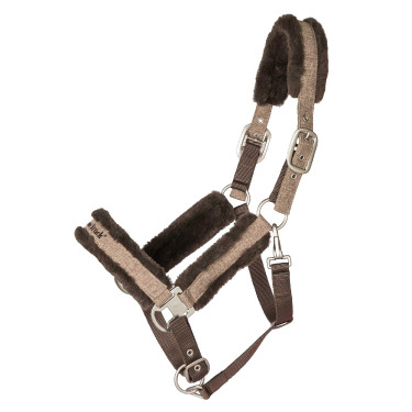 Halster Back on Track Haze Collection Halster Back on Track Haze Collection