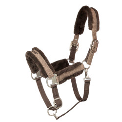 Halster Back on Track Haze Collection Halster Back on Track Haze Collection