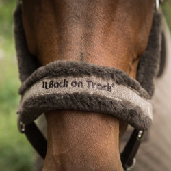 Halster Back on Track Haze Collection Halster Back on Track Haze Collection