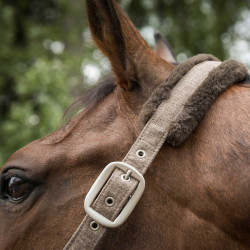Halster Back on Track Haze Collection Halster Back on Track Haze Collection