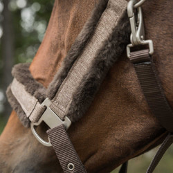Halster Back on Track Haze Collection Halster Back on Track Haze Collection