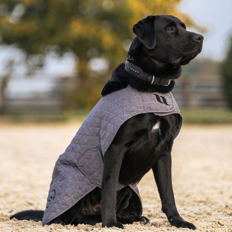 Hondenjas Back on Track® Haze Collection Hondenjas Back on Track® Haze Collection
