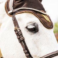 Luchtstroomkap Back on Track Bruin