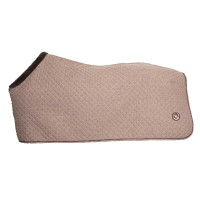 Overhemd Back on Track Haze Collection Bruin