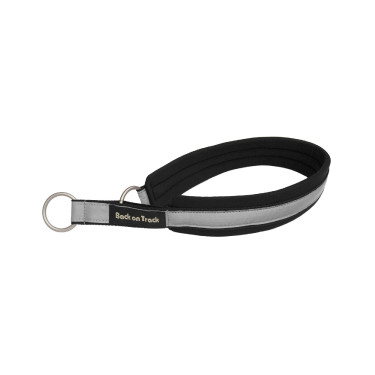 Halsband voor hond Molly Back on Track Zwart / zilver Halsband voor hond Molly Back on Track Zwart / zilver