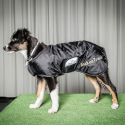 Halsband voor hond Molly Back on Track Zwart / zilver