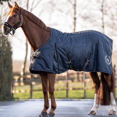 Boxdeken Back on Track Millie 200g Zwart Boxdeken Back on Track Millie 200g Zwart