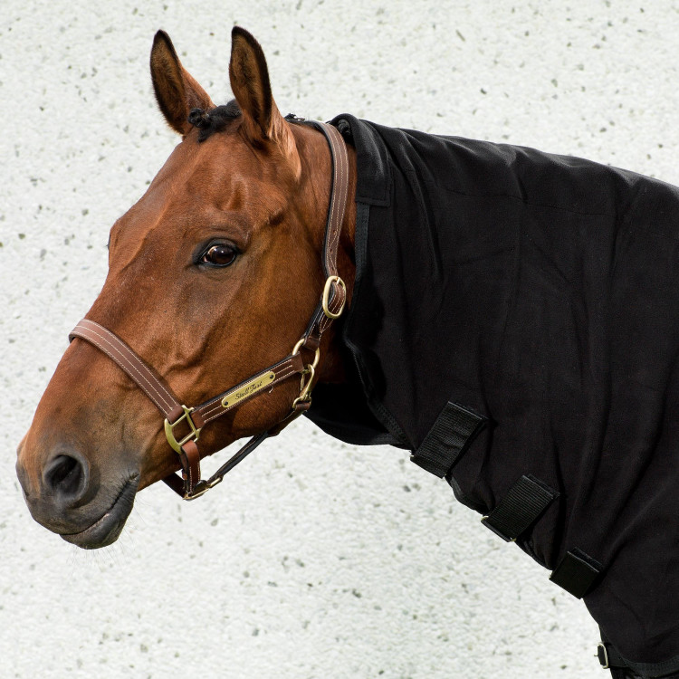 Nekbeschermer Back on Track voor fleece deken Nekbeschermer Back on Track voor fleece deken