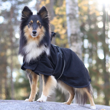 Netjas voor honden Back on Track Blauw Netjas voor honden Back on Track Blauw