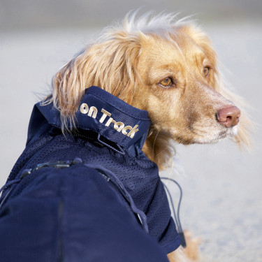 Netjas voor honden Back on Track Blauw Netjas voor honden Back on Track Blauw