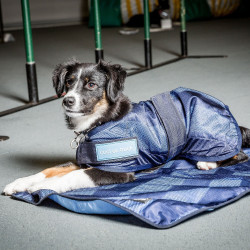 Koeljas voor honden Back on Track Koeljas voor honden Back on Track