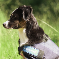Koeljas voor honden Back on Track Koeljas voor honden Back on Track
