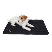 Multifunctionele matras voor honden Back on Track Zwart