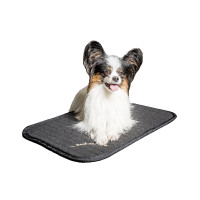 Multifunctionele matras voor honden Back on Track Zwart