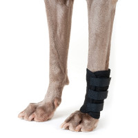 Bescherming voorpoten Back on Track voor hond Zwart Bescherming voorpoten Back on Track voor hond Zwart