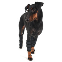 Bescherming voorpoten Back on Track voor hond Zwart Bescherming voorpoten Back on Track voor hond Zwart