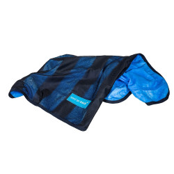 Verfrissende Handdoek voor Honden Cool on Track Back on Track Verfrissende Handdoek voor Honden Cool on Track Back on Track