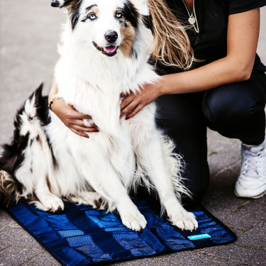 Verfrissende Handdoek voor Honden Cool on Track Back on Track Verfrissende Handdoek voor Honden Cool on Track Back on Track