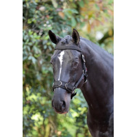 Caveçon synthétique noir Caveçon synthétique noir