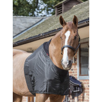 Schouderbescherming Lemieux Zwart