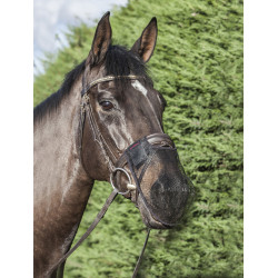Neusbeschermer Comfort Shield LeMieux Neusbeschermer Comfort Shield LeMieux