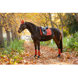LeMieux Suede Dressuur Zadeldek LeMieux Suede Dressuur Zadeldek