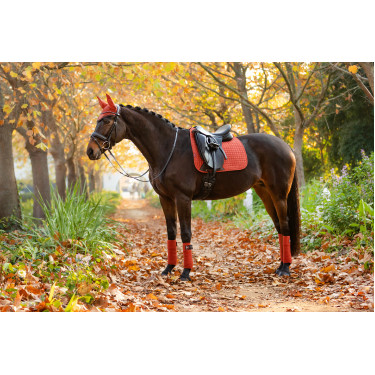 LeMieux Suede Dressuur Zadeldek LeMieux Suede Dressuur Zadeldek