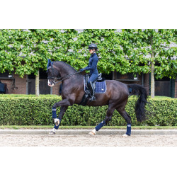 LeMieux Loire Classic Dressuur Vierkant LeMieux Loire Classic Dressuur Vierkant