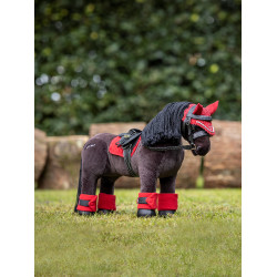 Mini Pony LeMieux Freya Mini Pony LeMieux Freya