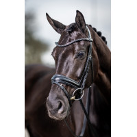 Klassiek dressuurtuig LeMieux Zwart