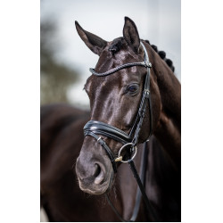 Klassiek dressuurtuig LeMieux Zwart