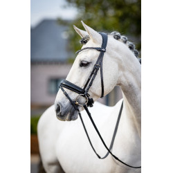 Klassiek dressuurtuig LeMieux Zwart