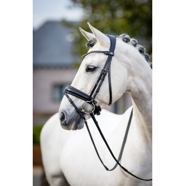 Klassiek dressuurtuig LeMieux Zwart