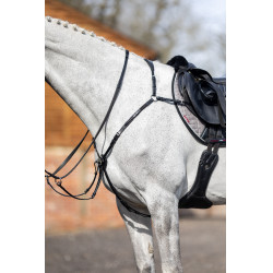 Jachtborsttuig LeMieux Zwart Jachtborsttuig LeMieux Zwart