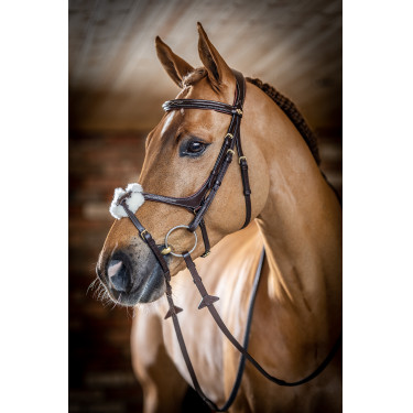 Bridon LeMieux Grackle Havana Bruin