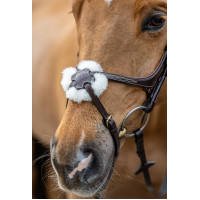 Bridon LeMieux Grackle Havana Bruin