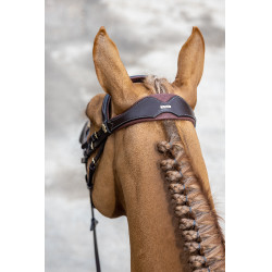 LeMieux Competition gecombineerde hoofdstel Havana Bruin LeMieux Competition gecombineerde hoofdstel Havana Bruin