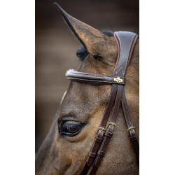 LeMieux Competition gecombineerde hoofdstel Havana Bruin LeMieux Competition gecombineerde hoofdstel Havana Bruin