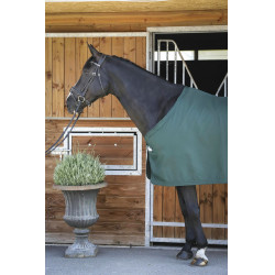 Paddock Sports Presentatiehemd Groen