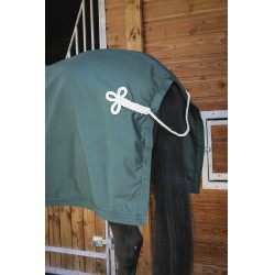 Paddock Sports Presentatiehemd Groen