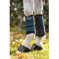 LeMieux Grafter Peesbeschermers Marineblauw