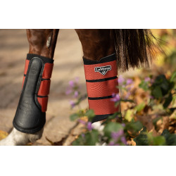 LeMieux Grafter Peesbeschermers Sienna Rood LeMieux Grafter Peesbeschermers Sienna Rood